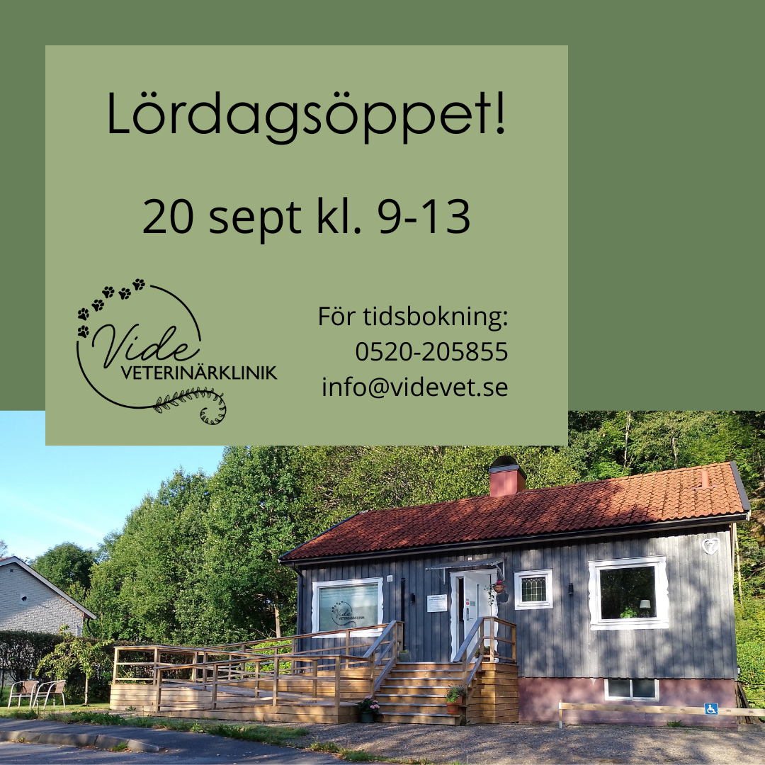 Lördagsöppet!