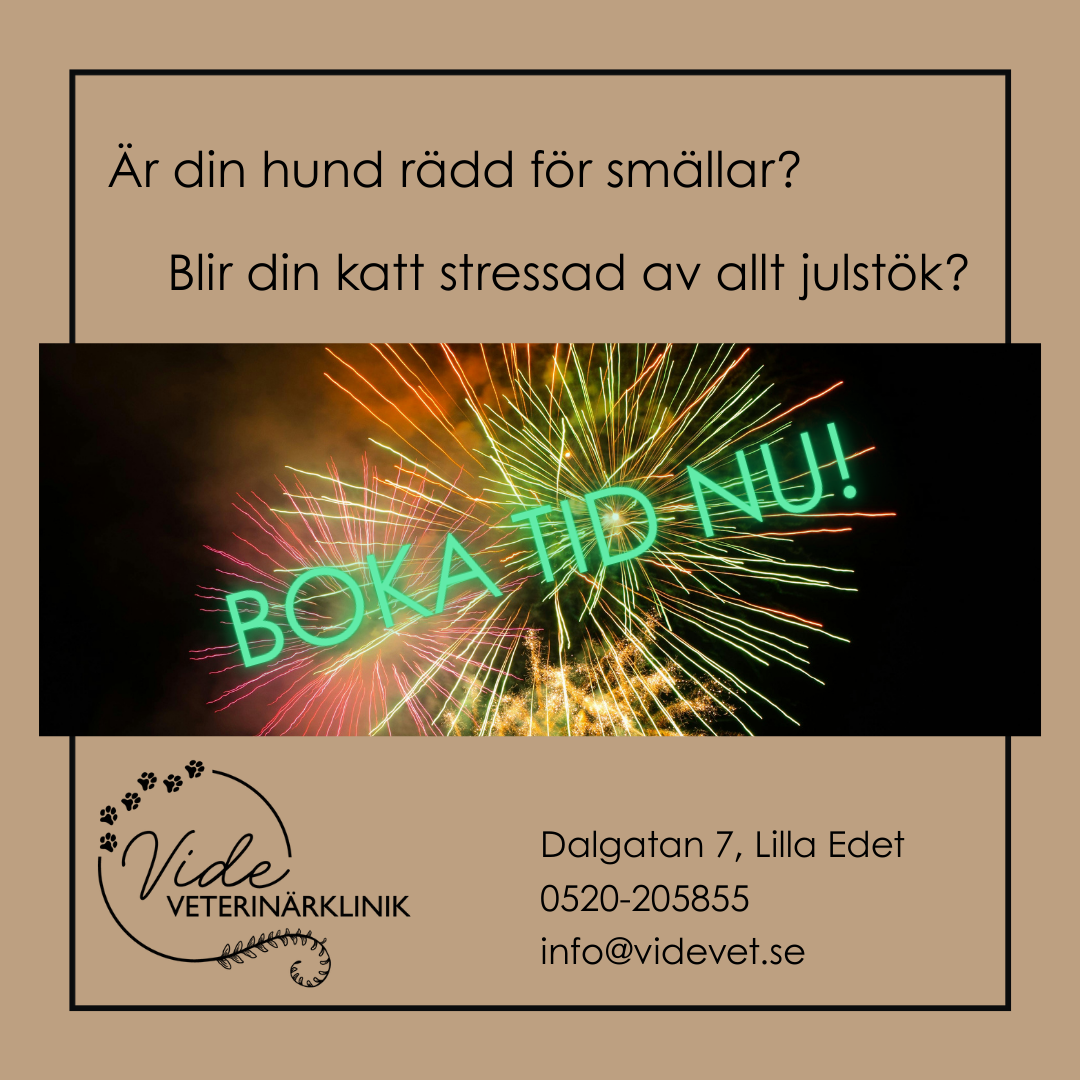 Boka tid inför jul/nyår