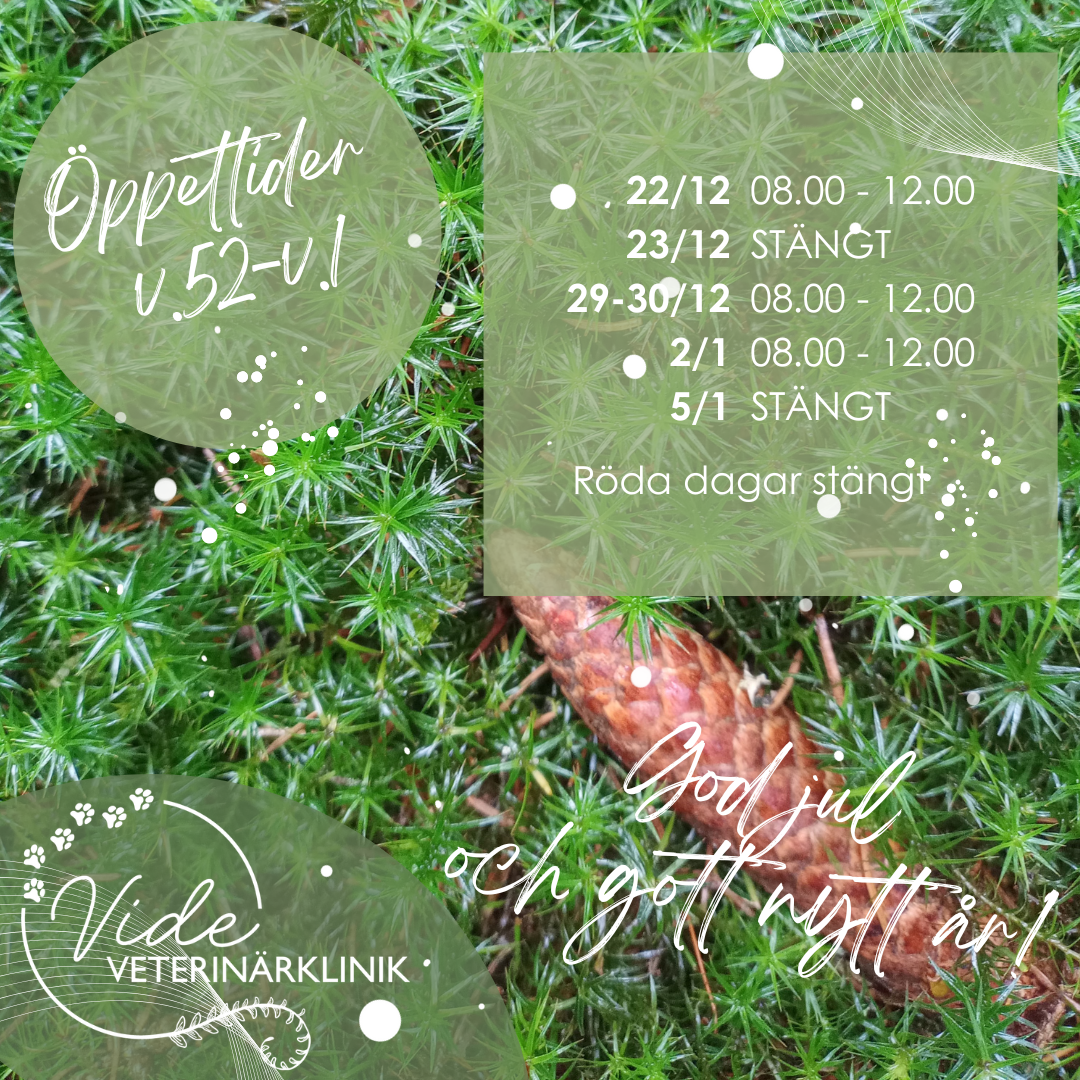 Öppettider v.52-v.2