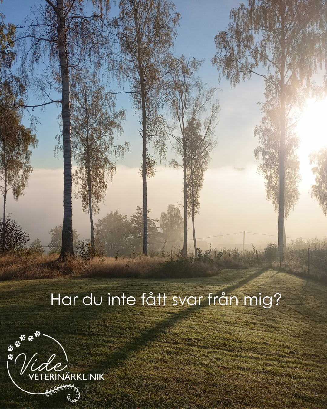 Har du inte fått svar från mig?