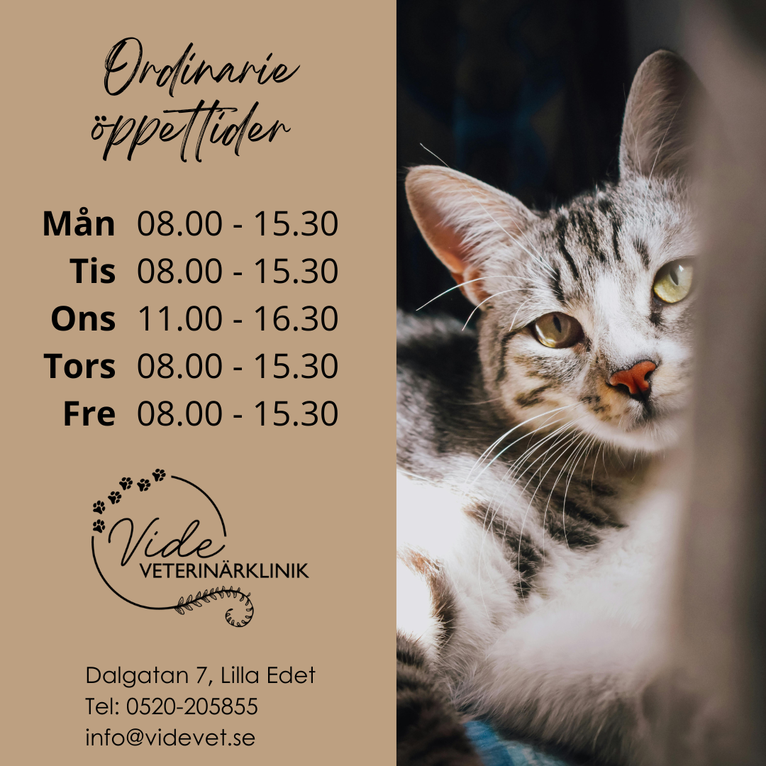 Utökade öppettider!