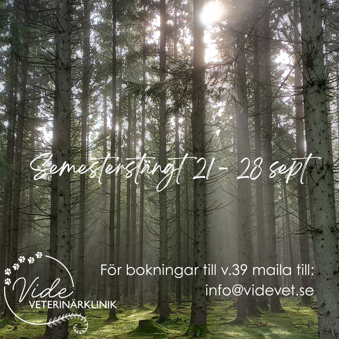 Semesterstängt v.38