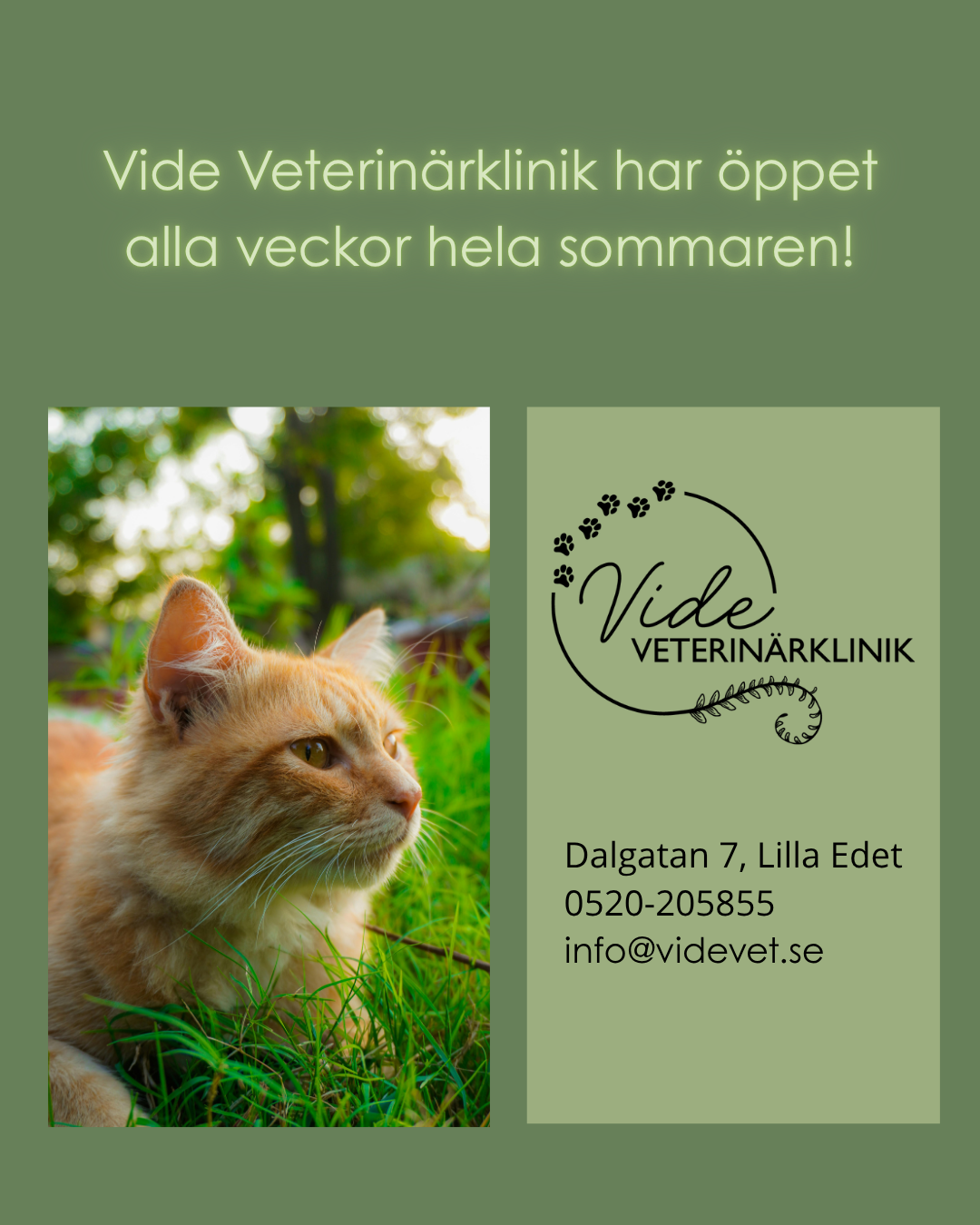 Öppet hela sommaren!